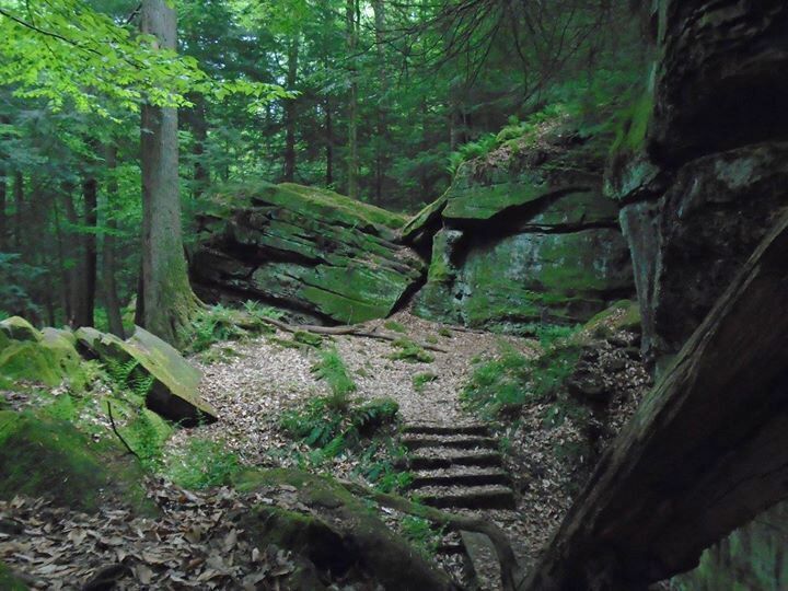 I swear this place looks like it's right out of a fairy tale. #hiking