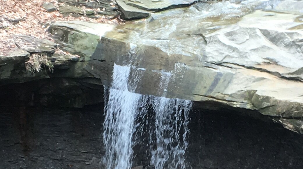 This is on the walk over to Carrick-a-Rede rope bridge ..... truly love this area in N. Ireland so beautiful đ