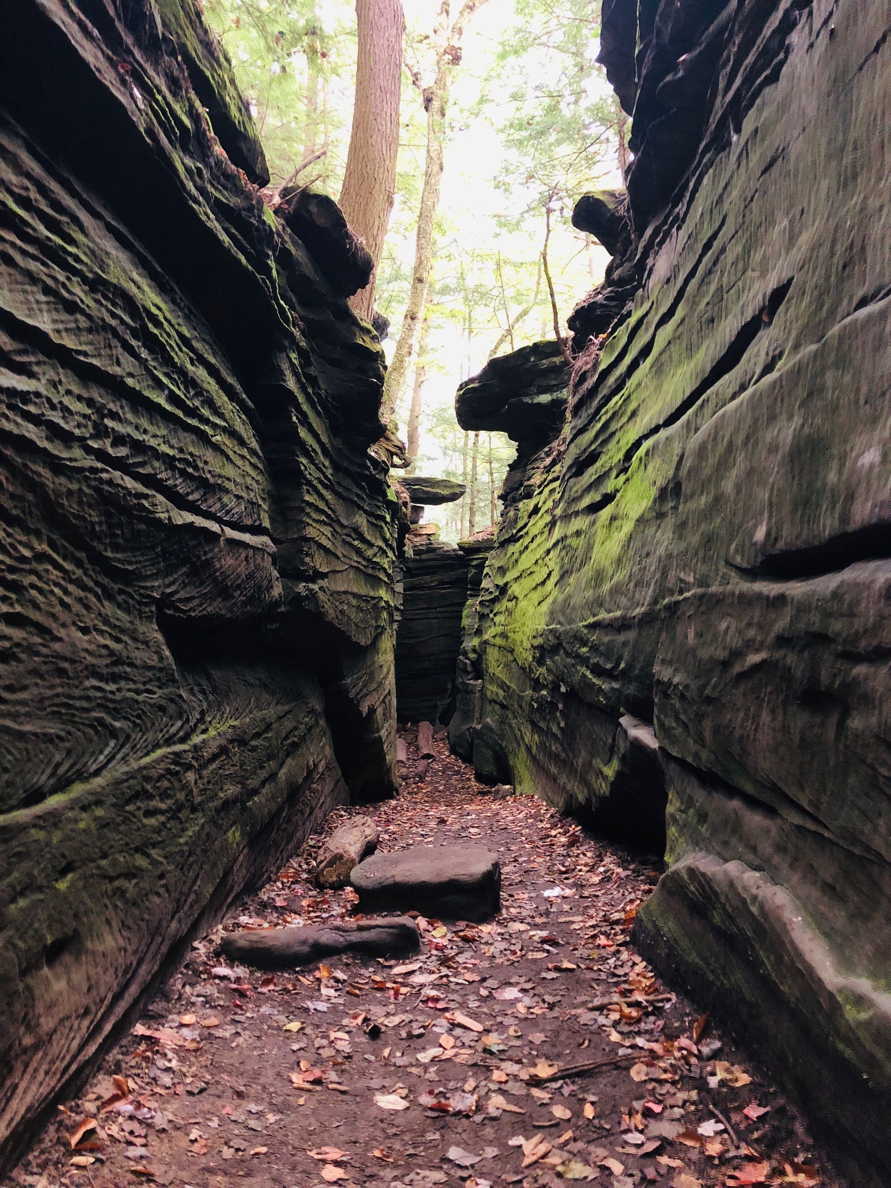 The best part of the ledges trail is the part by Ice Box Cave. While the cave is closed off, you can squeeze between some rocks to get between some cool formations. It probably goes on for about .25 miles
