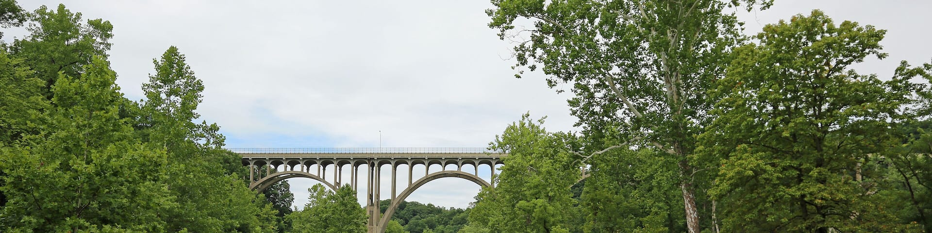 Landscape with Brecksville-Northfield high level bridge - Ohio