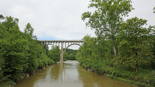Landscape with Brecksville-Northfield high level bridge - Ohio