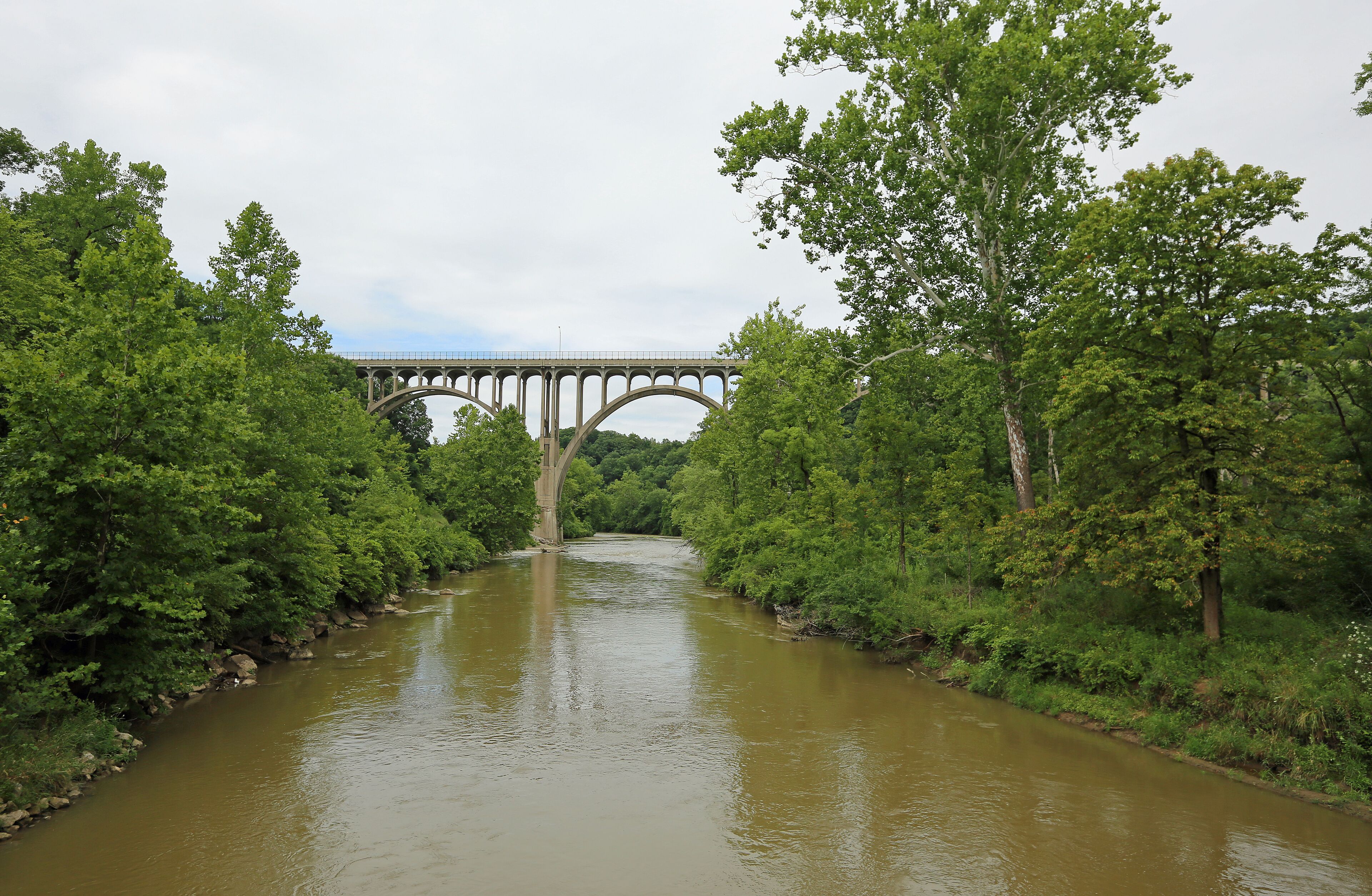 A river with a bridge in the distance, surrounded by dense green trees.