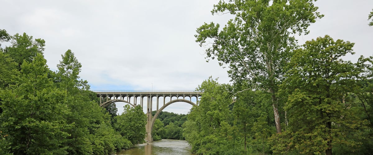 A river with a bridge in the distance, surrounded by dense green trees.