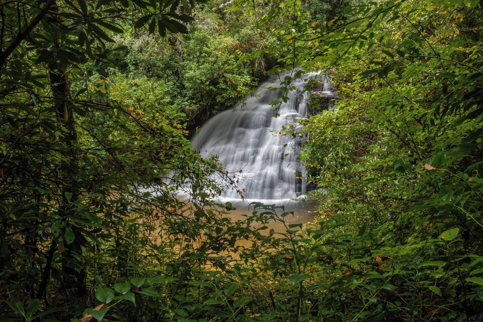 Una cascada rodeada de follaje verde exuberante.
