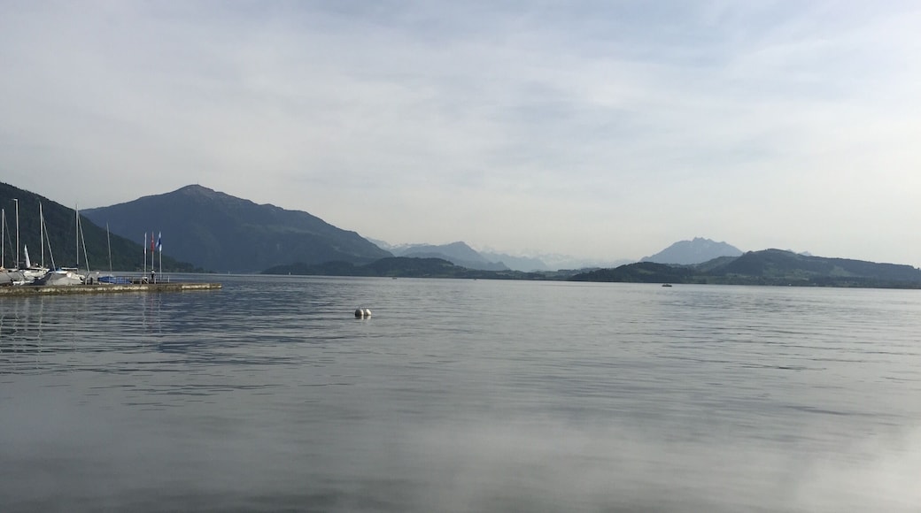 View from the restaurant! #amazing #mountains