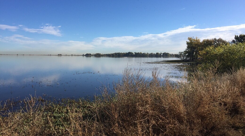 Barr Lake is a great location for birders