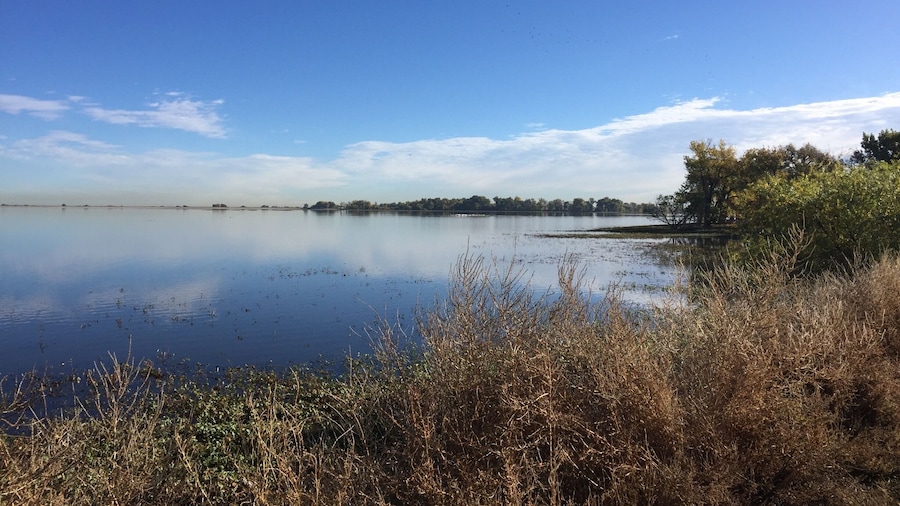 Barr Lake is a great location for birders