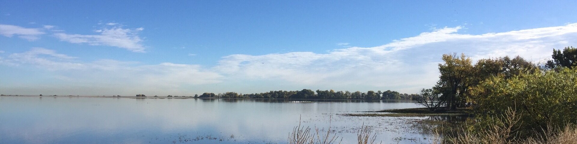Barr Lake is a great location for birders
