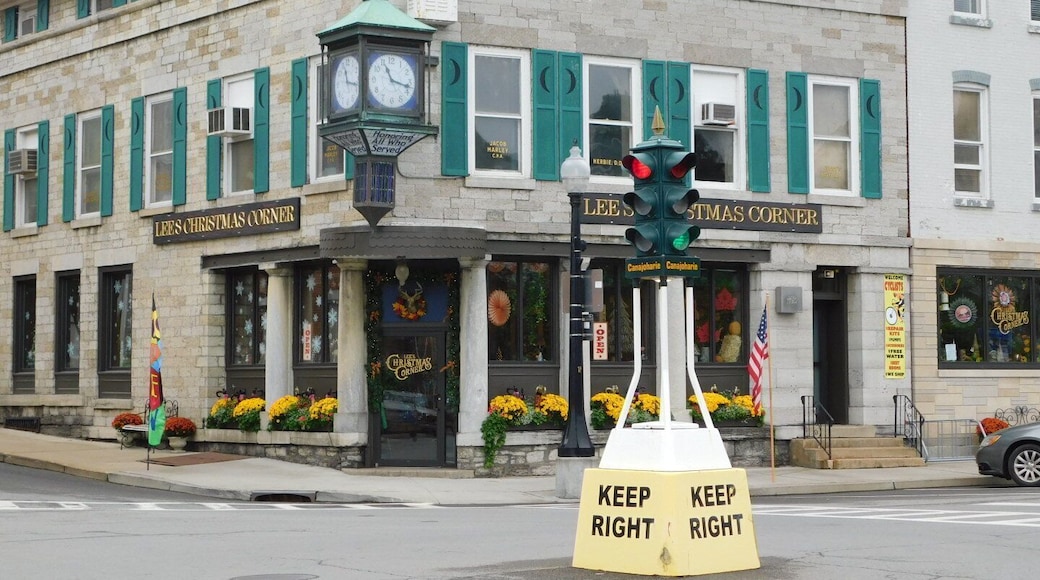 The Canajoharie Dummy Light is one of only 3 dummy lights found in New York State. Few dummy lights exist outside of the state.