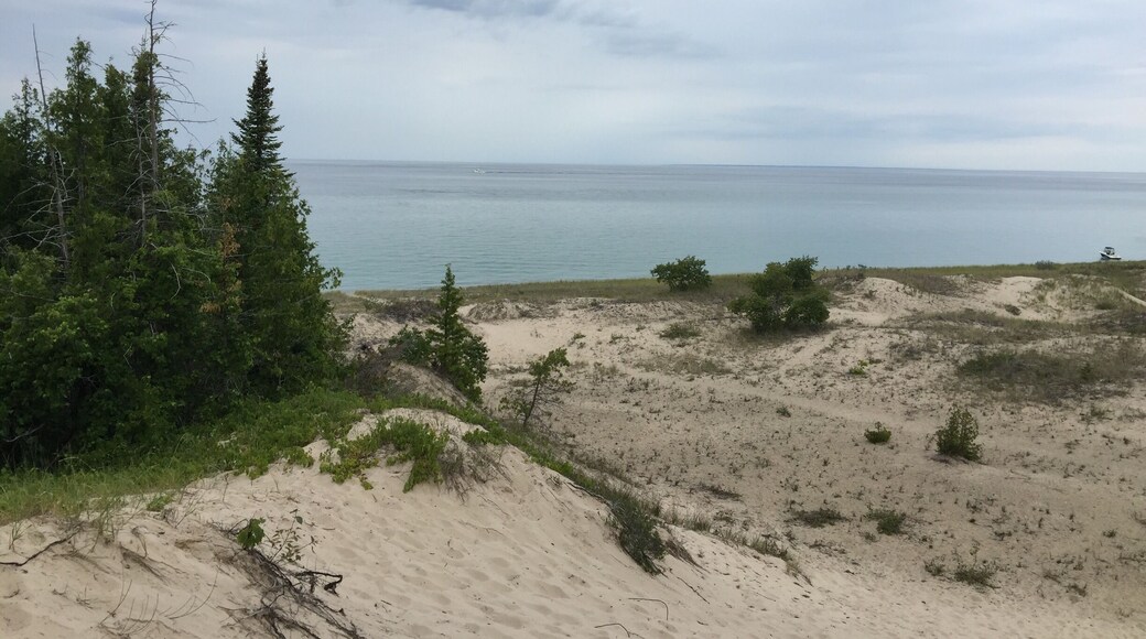 The dunes in Charlevoix are a great place to go for a hike and look out across the lake.
