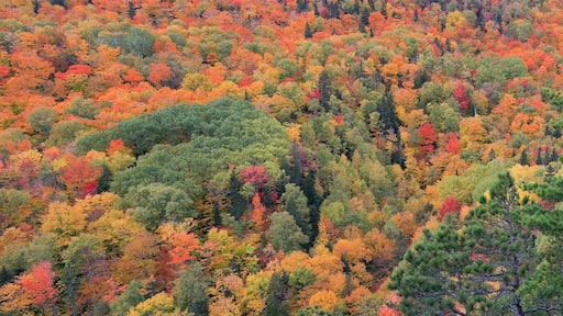 ์ค๋ฅผ๋ถ์