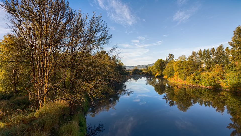 River landscape in sunny autumn morning. Chehalis river in Washington, USA