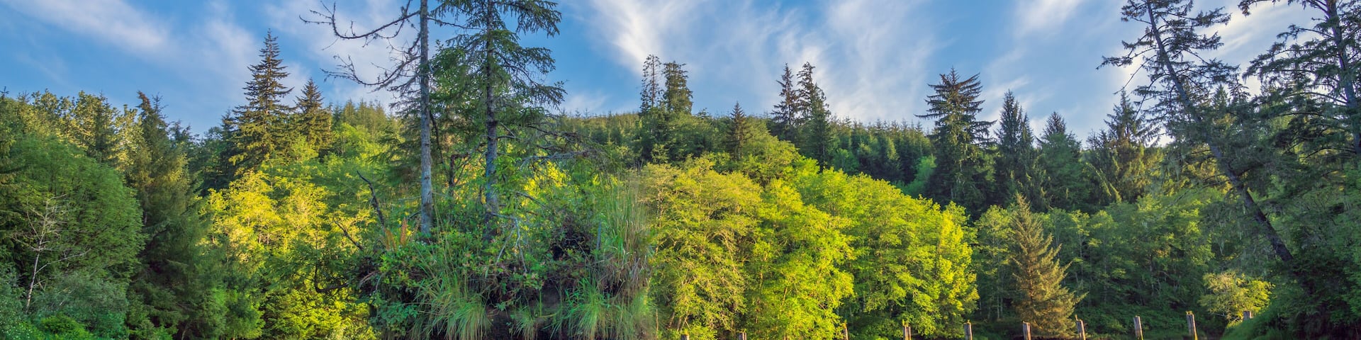 Blue Slough Along Chehalis River Kayak Trip