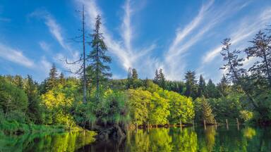 Blue Slough Along Chehalis River Kayak Trip