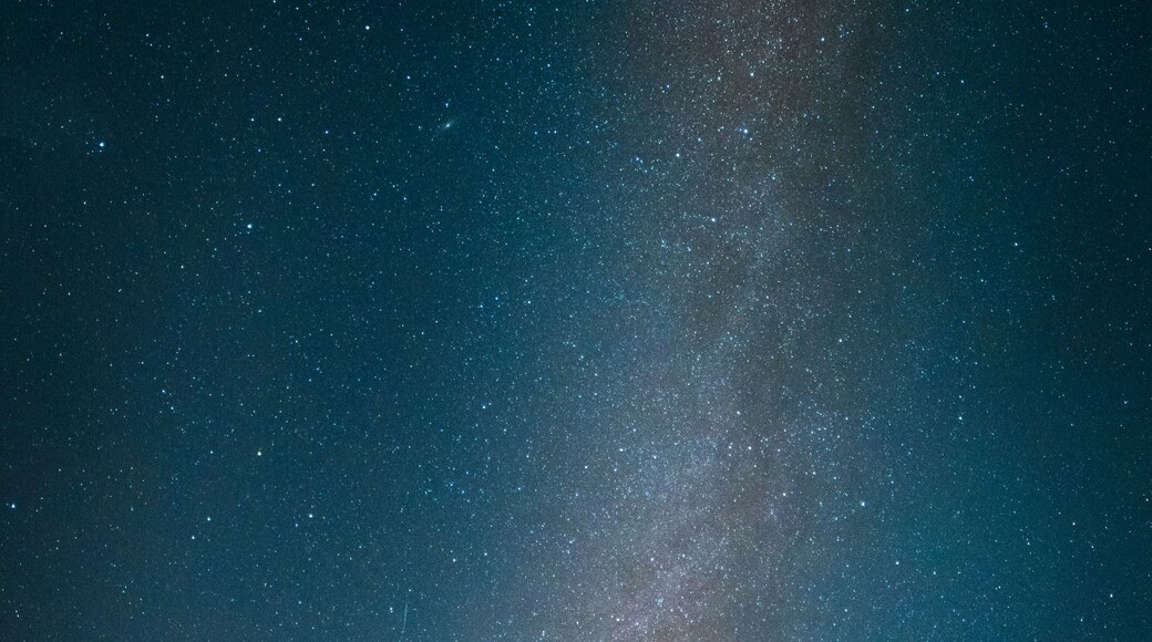 Milky Way At Blue Slough Along The Chehalis River