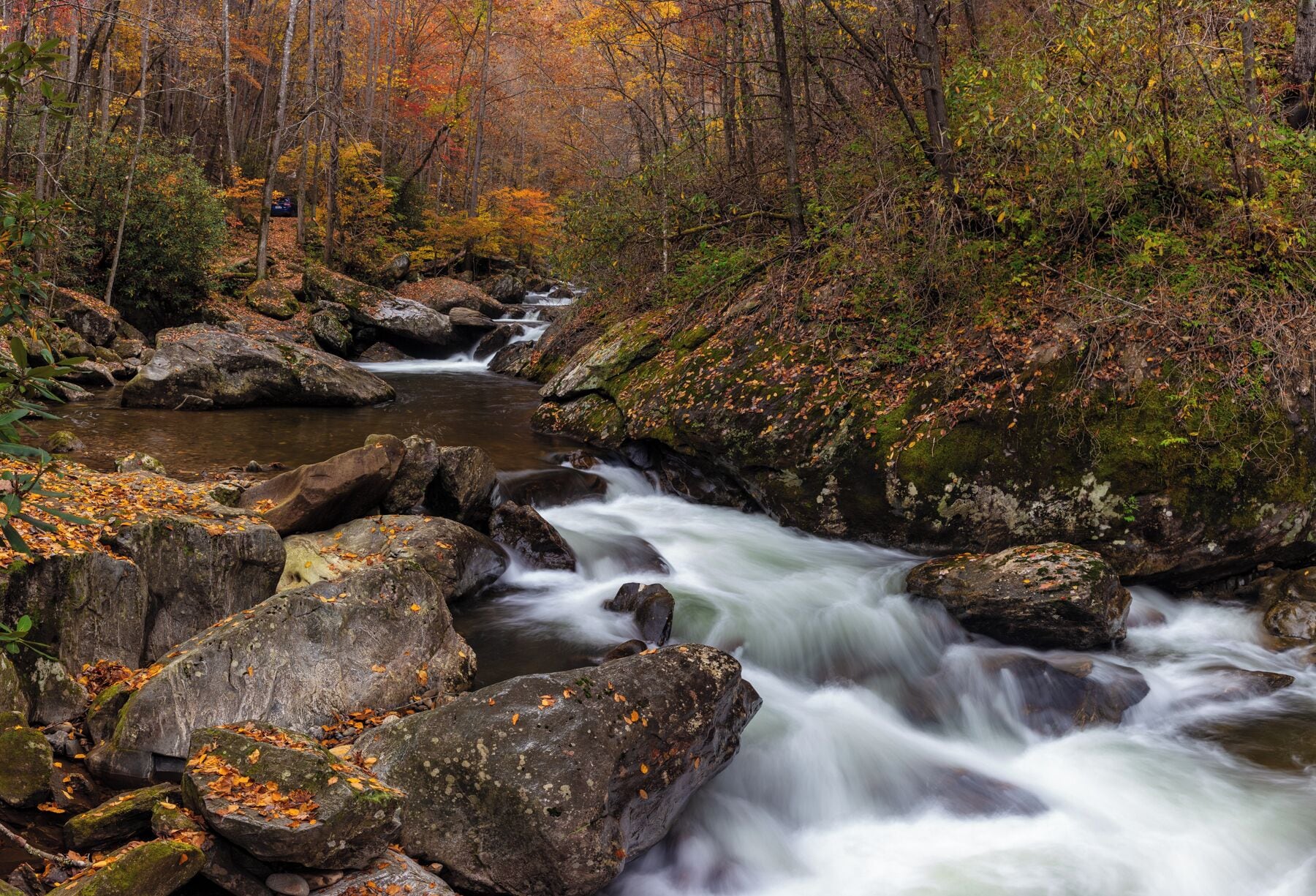 A flowing river with rocks and autumn foliage.
