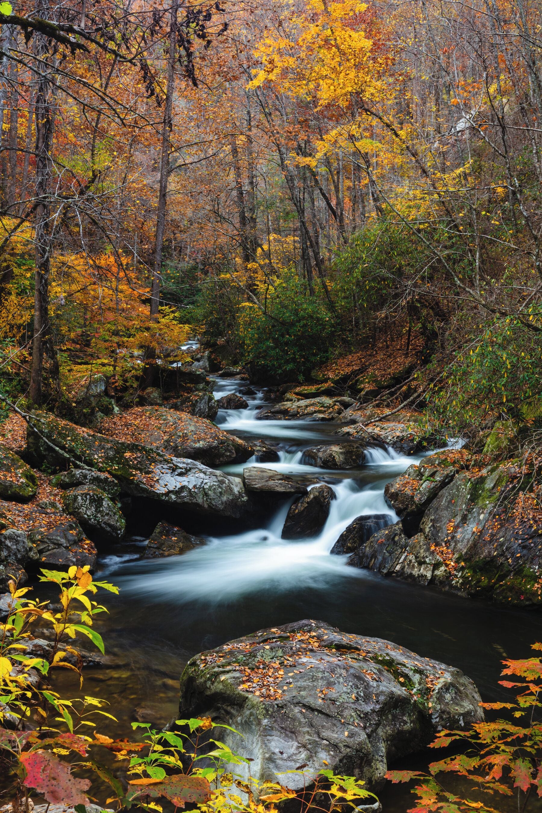 I think this might be my favorite from the trip. I am going to come back up here now that I know it's here. I didn't expect this little forest service road to offer so much beauty. 