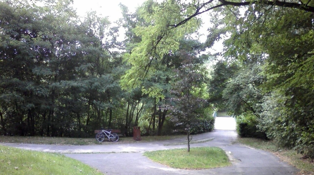 Croisement de la descente