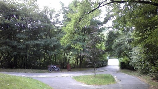 Croisement de la descente