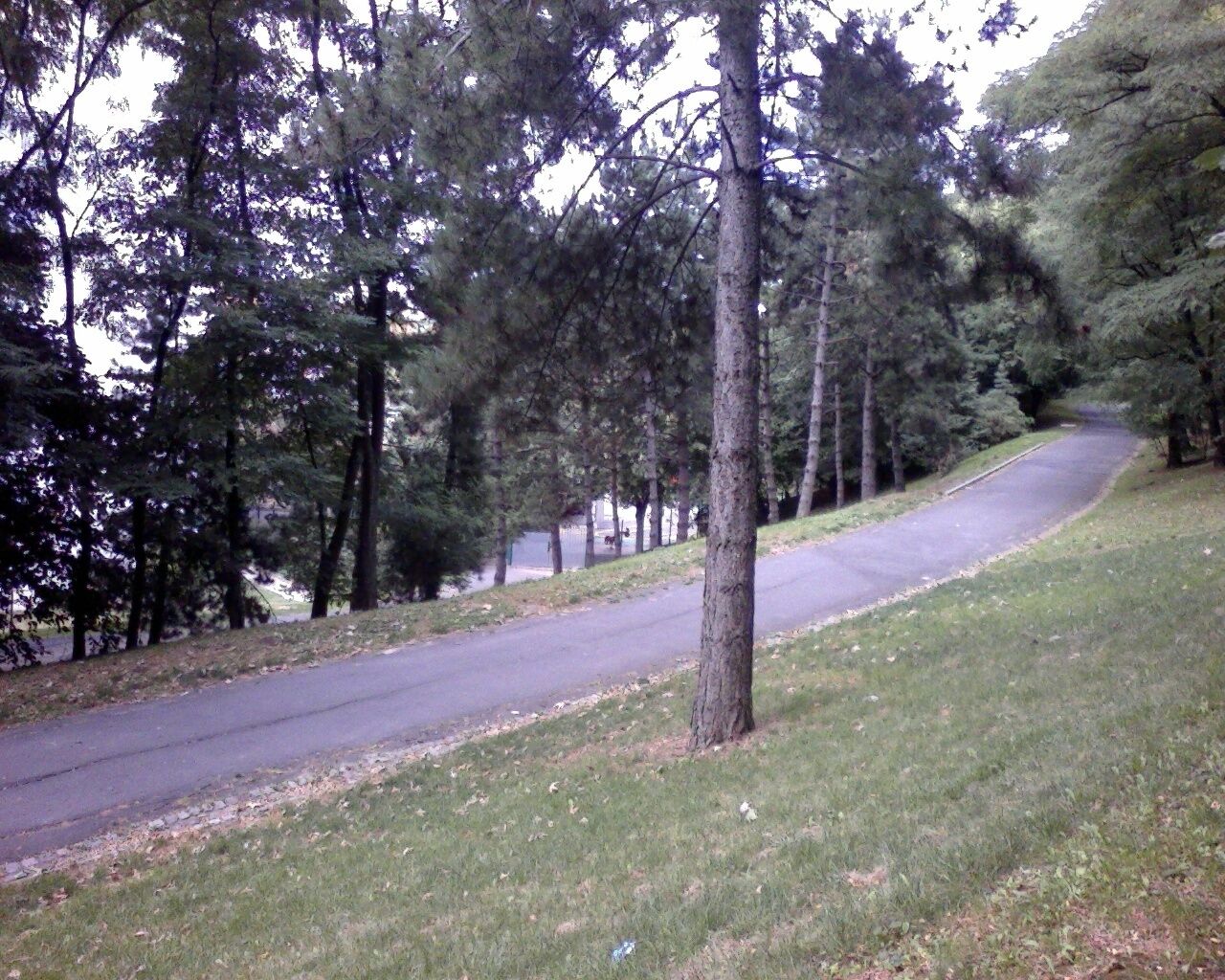 Descente Butte-Verte