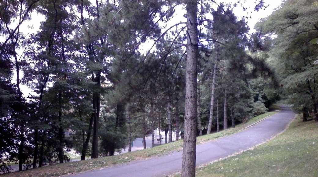 Descente Butte-Verte