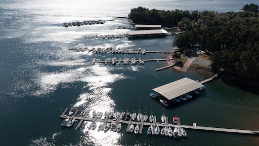 Lake Lanier Marina in Georgia, USA