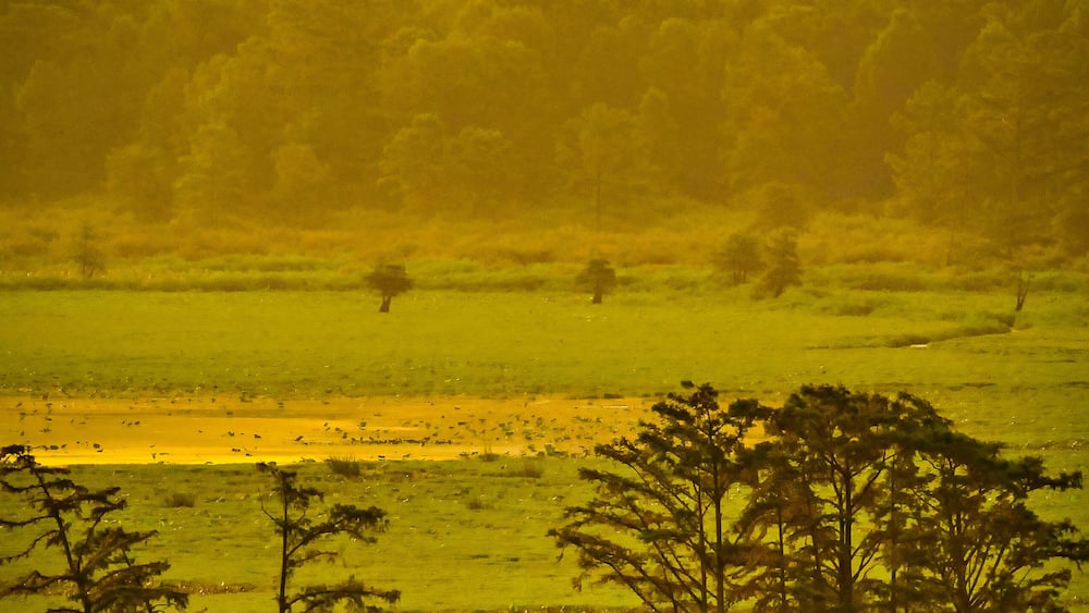 The Monopoly Marsh at sunrise at Mingo National Wildlife Refuge near Puxico, Missouri. ..Photo by Kyle Spradley | © Kyle Spradley Photography | www.kspradleyphoto.com
