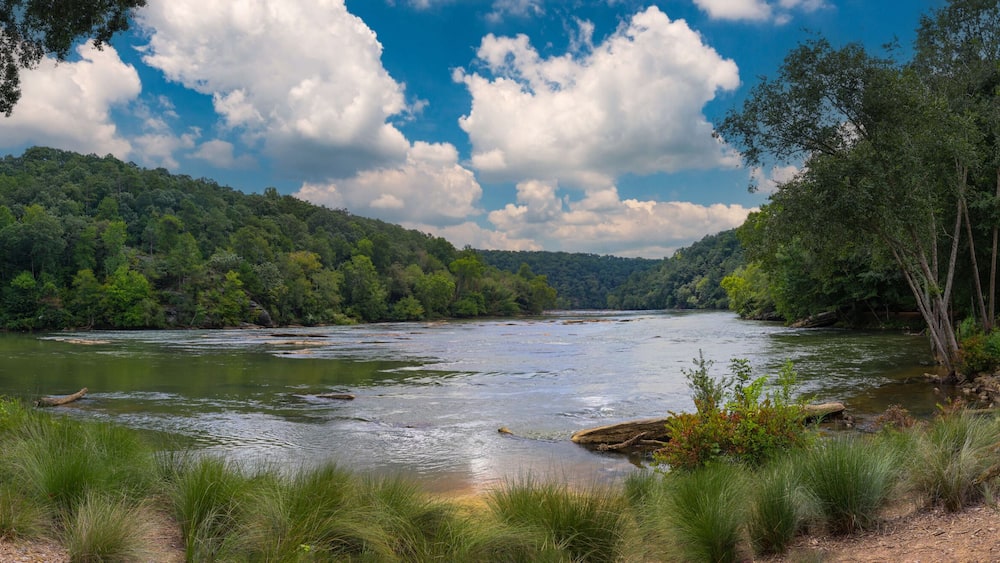 a panoramic of a gorgeous summer landscape on the Chattahoochee River with flowing water surrounded by lush green trees, grass and plants and blue sky with clouds at Walton On The Chattahoochee