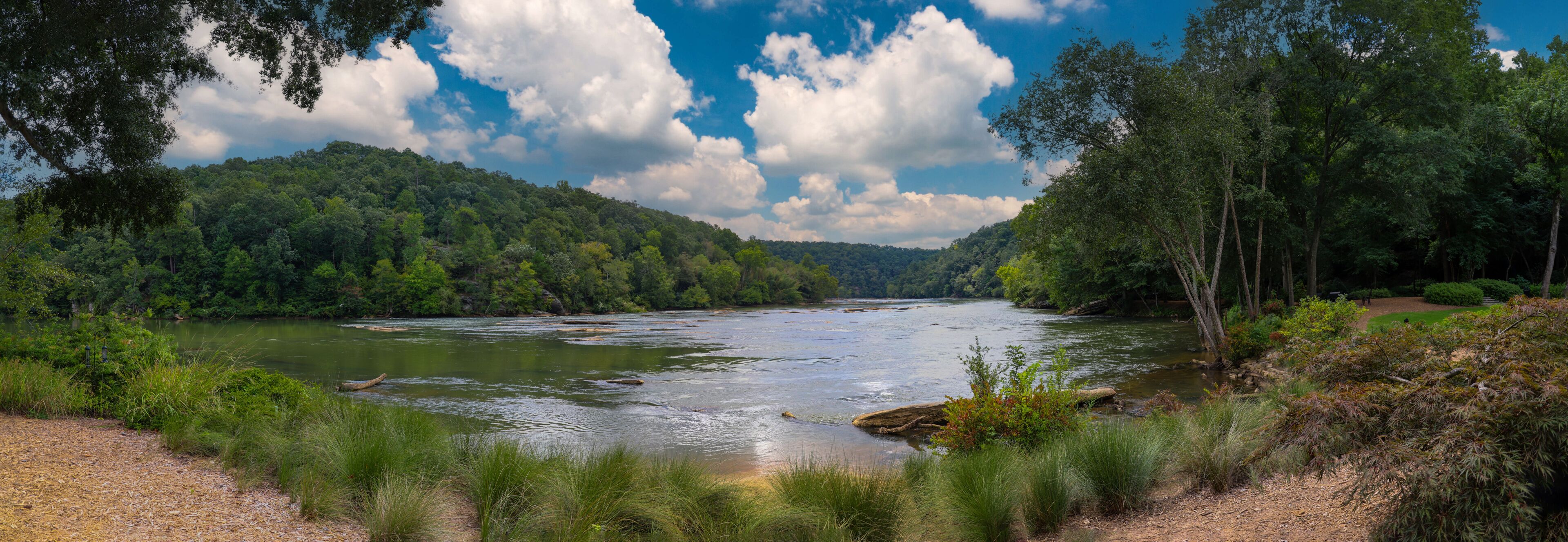 A river flowing through a forested valley with a clear sky above.