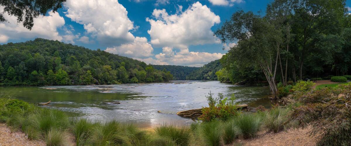 A river flowing through a forested valley with a clear sky above.