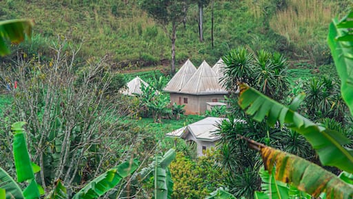Cases traditionnelles de la chefferie à l'ouest du Cameroun, dans le village de Bamendjou