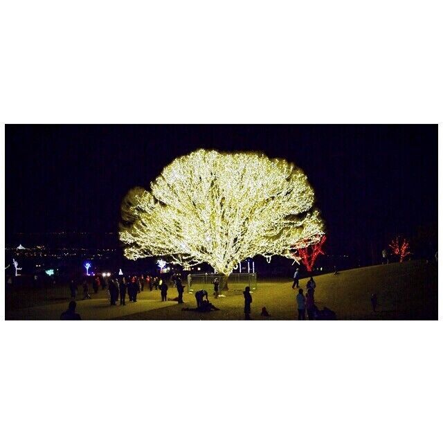 ✨✨✨✨✨✨✨✨ Yup!  #nuffsaid #passeyadventures