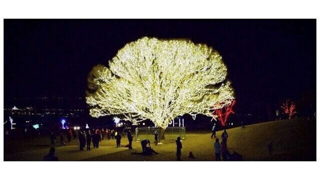 âšâšâšâšâšâšâšâš Yup! #nuffsaid #passeyadventures