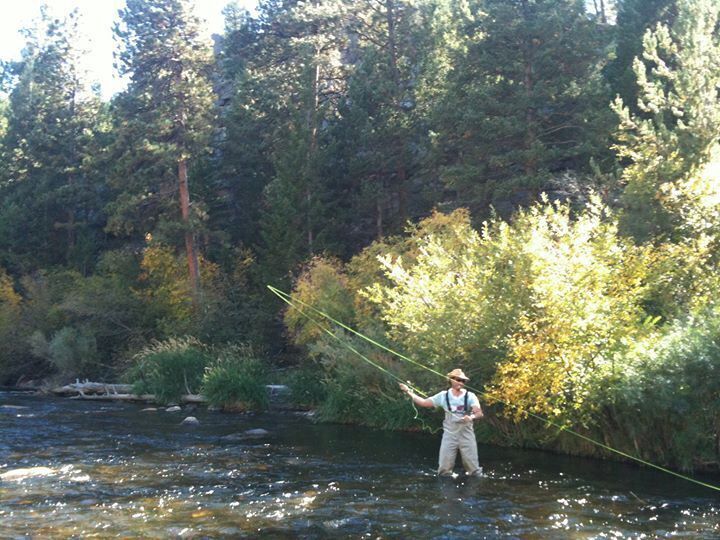 A person standing in a river surrounded by dense forest.