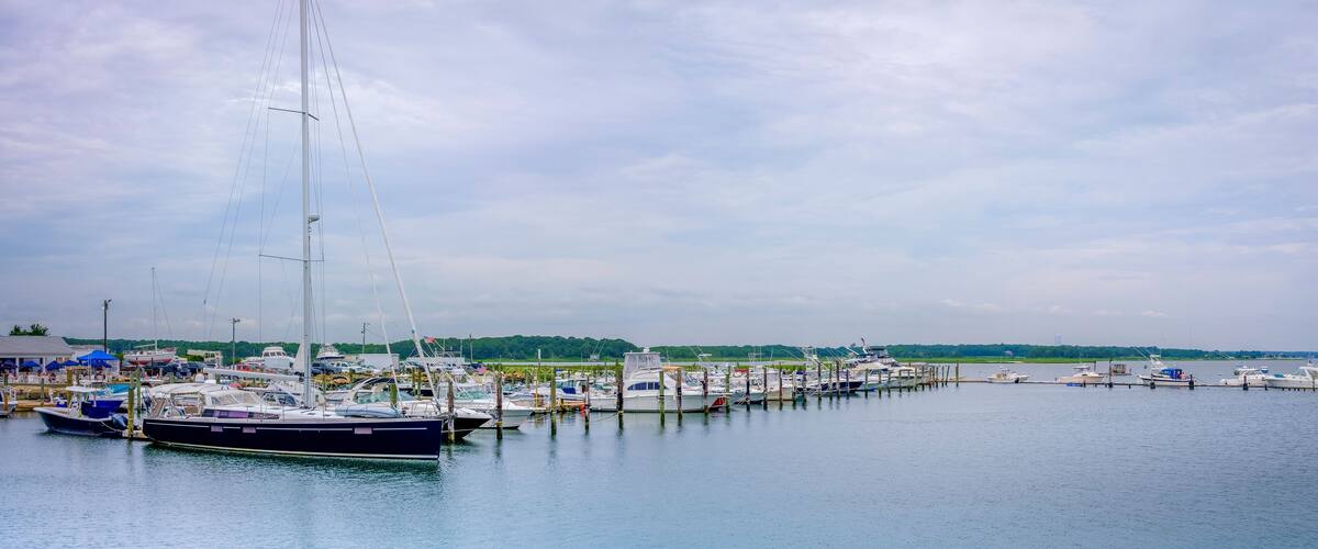 A marina with various boats docked, a clear sky, and a distant shoreline with greenery.
