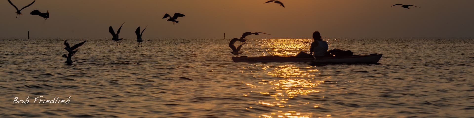 A sunset kayak outing with a few watchful birds