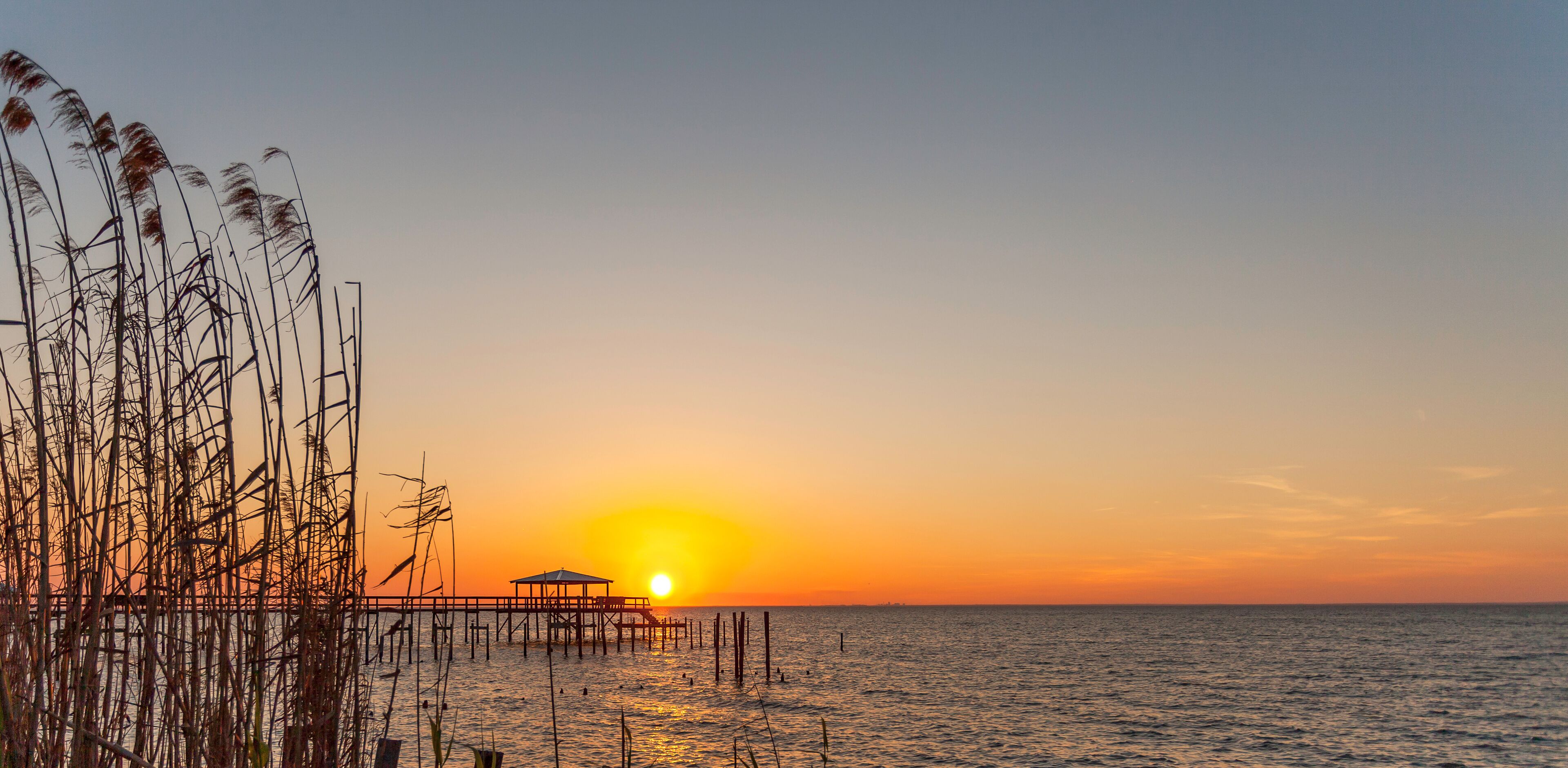 A sunset over a calm sea with a pier and tall grasses in the foreground.