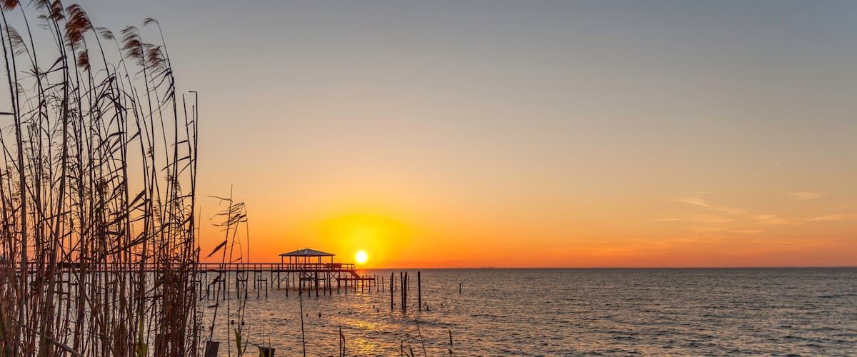A sunset over a calm sea with a pier and tall grasses in the foreground.
