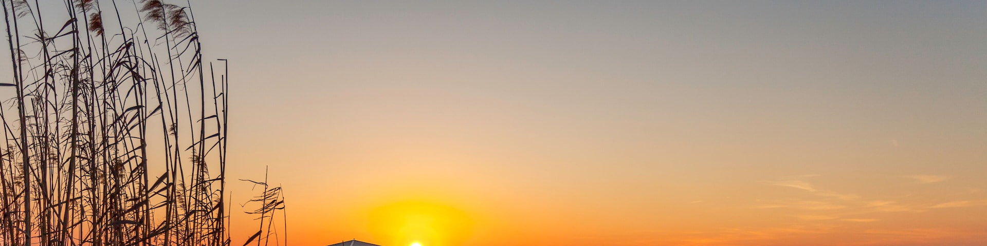 A sunset over a calm sea with a pier and tall grasses in the foreground.