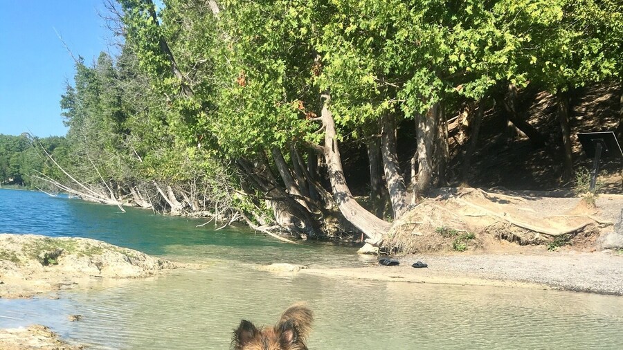 #aquatrove this is a must see central New York gem! Pictured are live freshwater reef. The lakes color is absolutely gorgeous