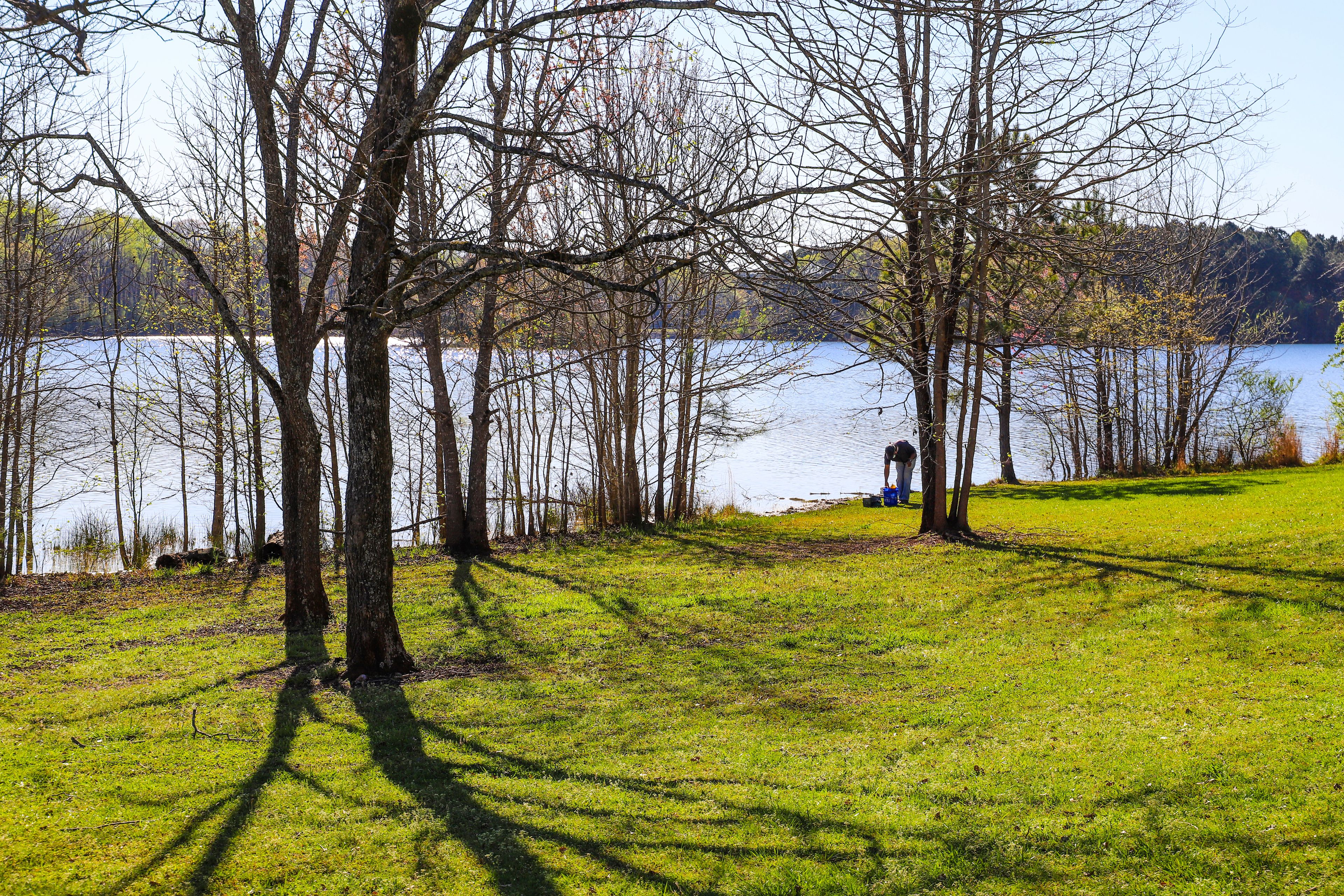 a gorgeous shot of the lake with lush green, autumn colored and bare branch trees and lush green grass with a man fishing on the banks at Lake Horton Park in Fayetteville Georgia