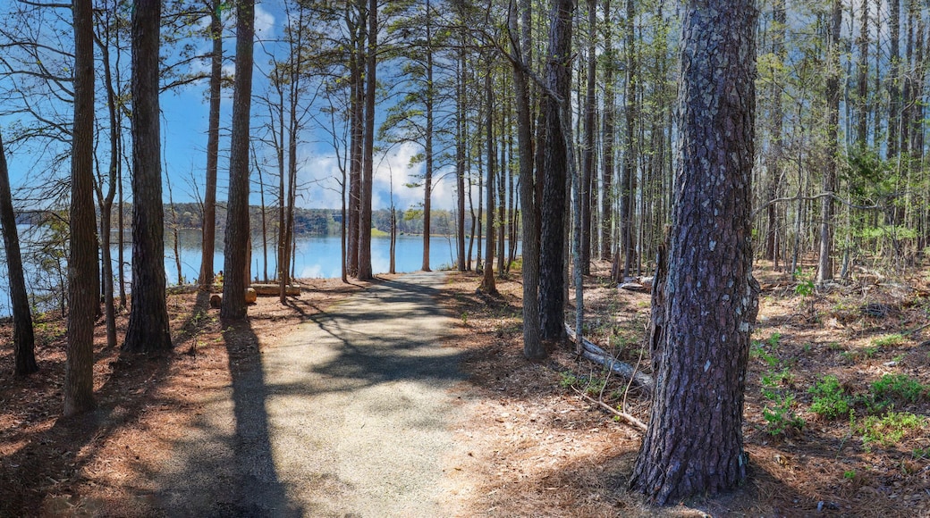 a gorgeous panoramic shot of a dirt footpath through the forest near the vast blue lake water with lush green and autumn colored trees along the lake at Lake Horton Park in Fayetteville Georgia USA