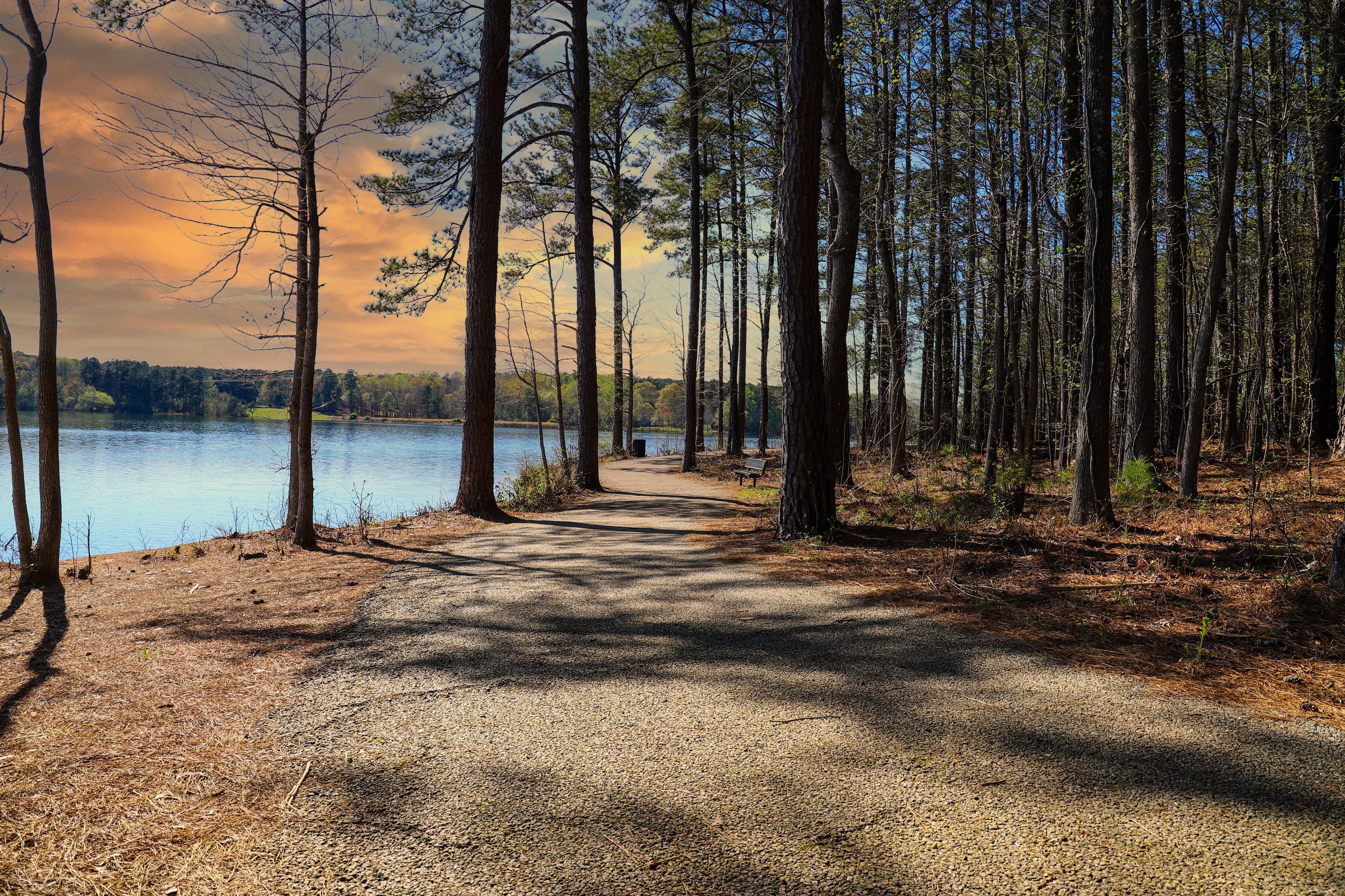 a stunning shot of a footpath through the forest next the a vast deep blue lake surrounded by lush green pine trees, brown ground cover and powerful clouds at Lake Horton Park in Fayetteville Georgia
