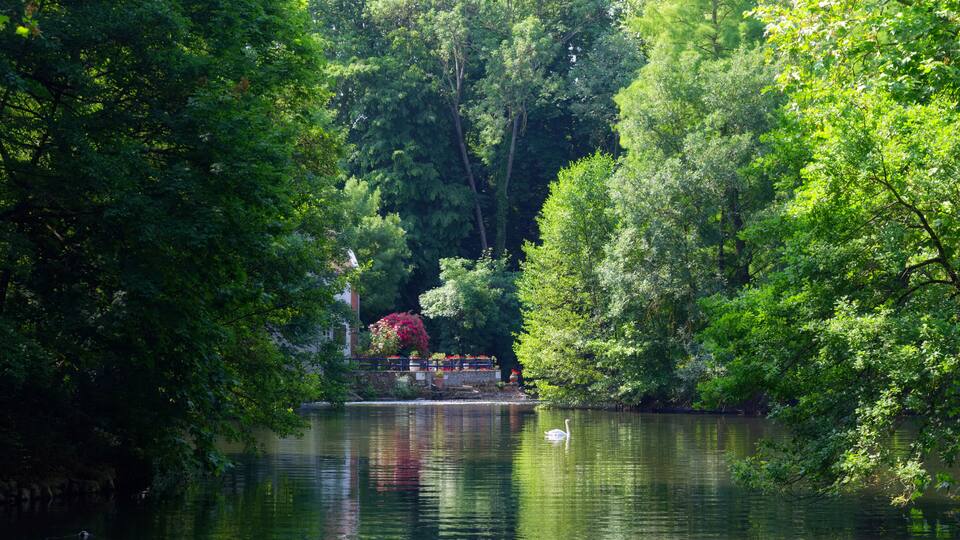 A serene lake surrounded by lush greenery and a stone bridge.