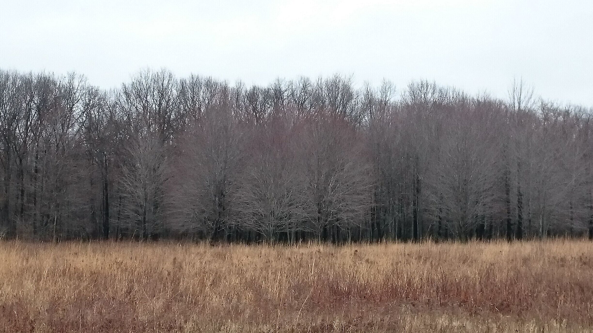 Oakwoods Metropark is an 1,756-acre Metropark, located near Flat Rock, MI. Hike through mature woodlands, along scenic overlooks of the backwaters of the Huron River.