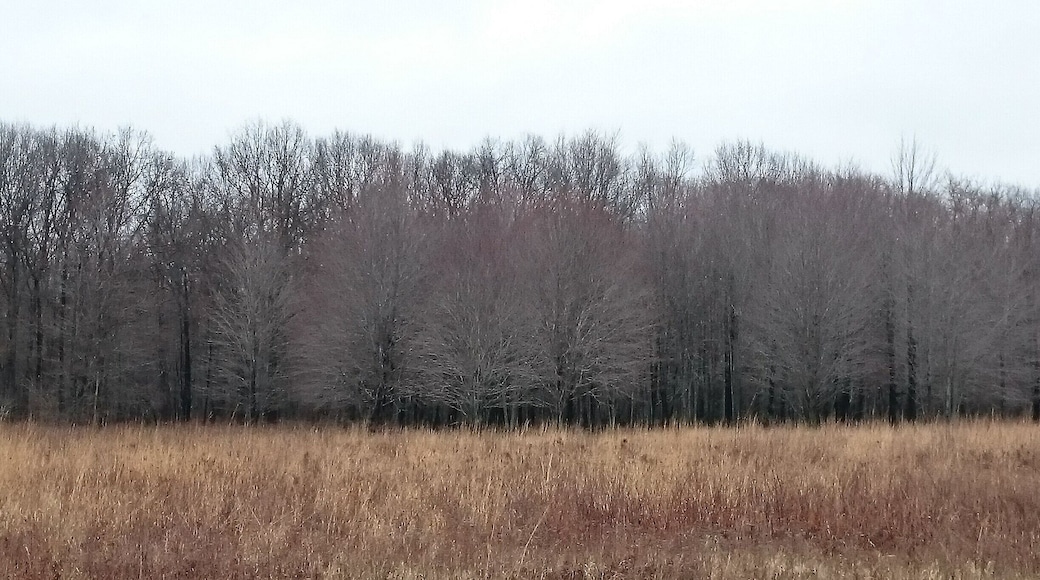 Oakwoods Metropark is an 1,756-acre Metropark, located near Flat Rock, MI. Hike through mature woodlands, along scenic overlooks of the backwaters of the Huron River.
