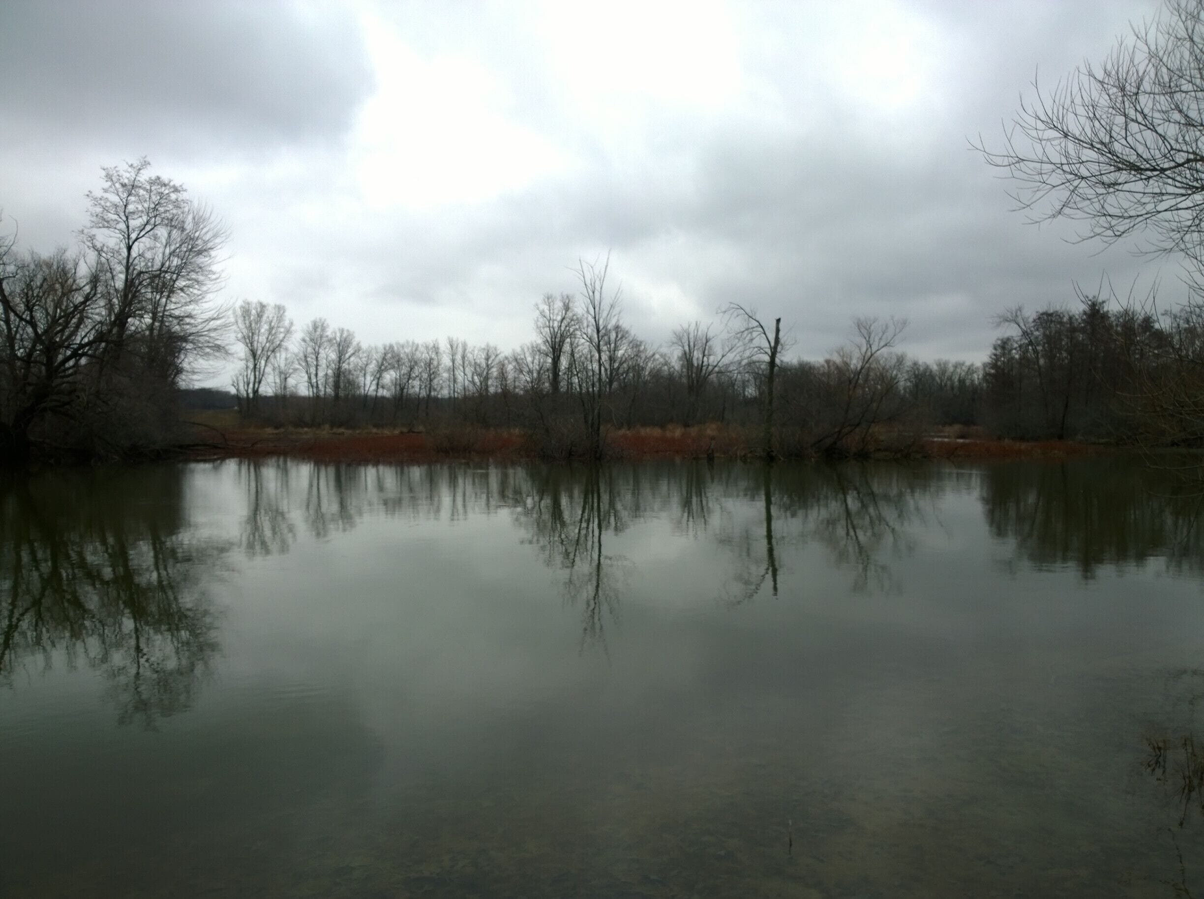 Oakwoods Metropark is an 1,756-acre Metropark, located near Flat Rock, MI. Hike through mature woodlands, along scenic overlooks of the backwaters of the Huron River.