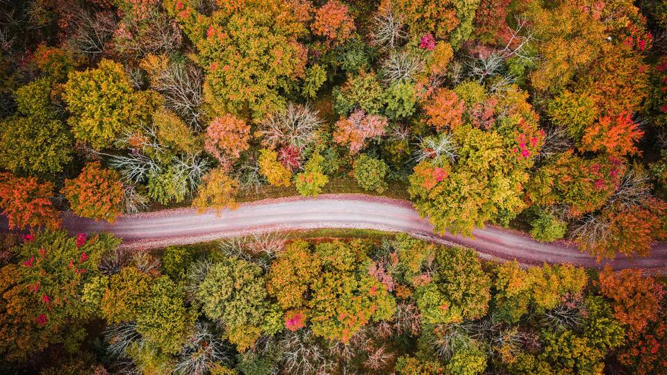 An aerial view of a winding road through a dense forest with autumn foliage.