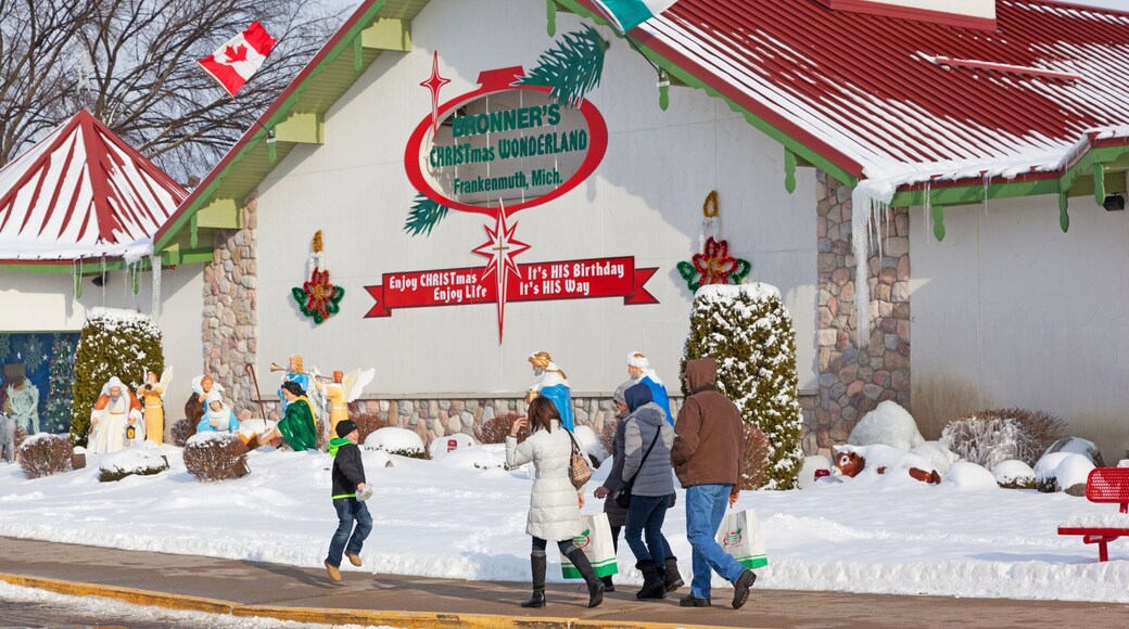 Frankenmuth which includes street scenes, signage and snow
