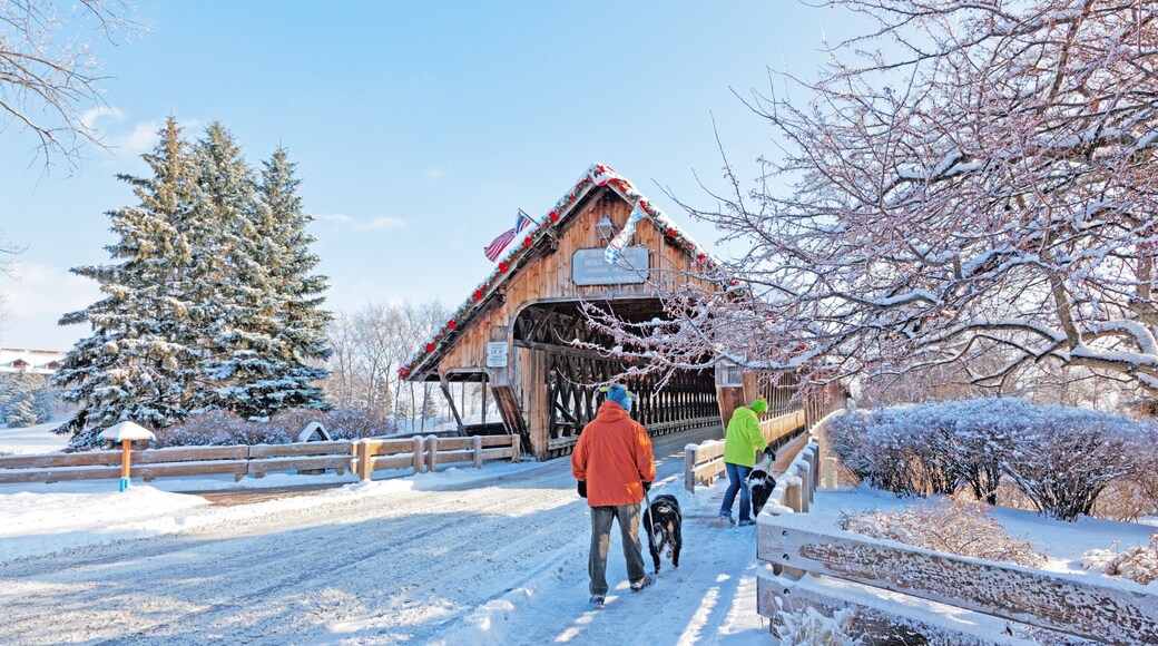 Frankenmuth showing snow, cuddly or friendly animals and a bridge